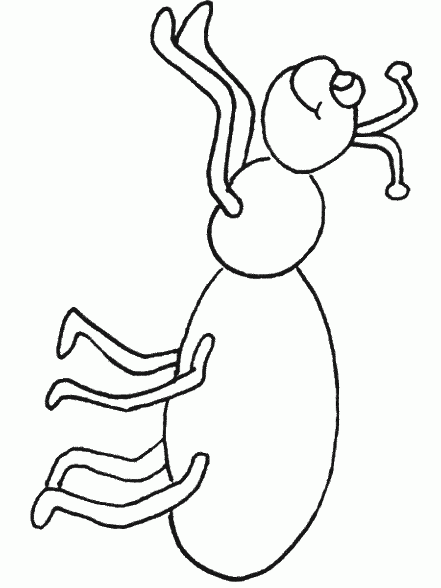 Insects Coloring Pages