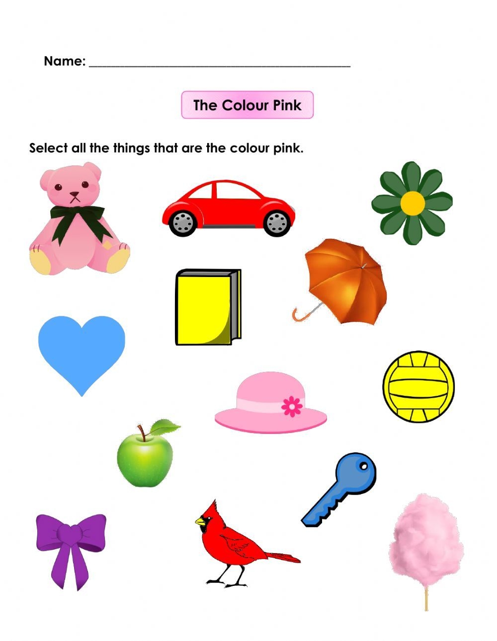 Interactive Pink Worksheet For Describing Items