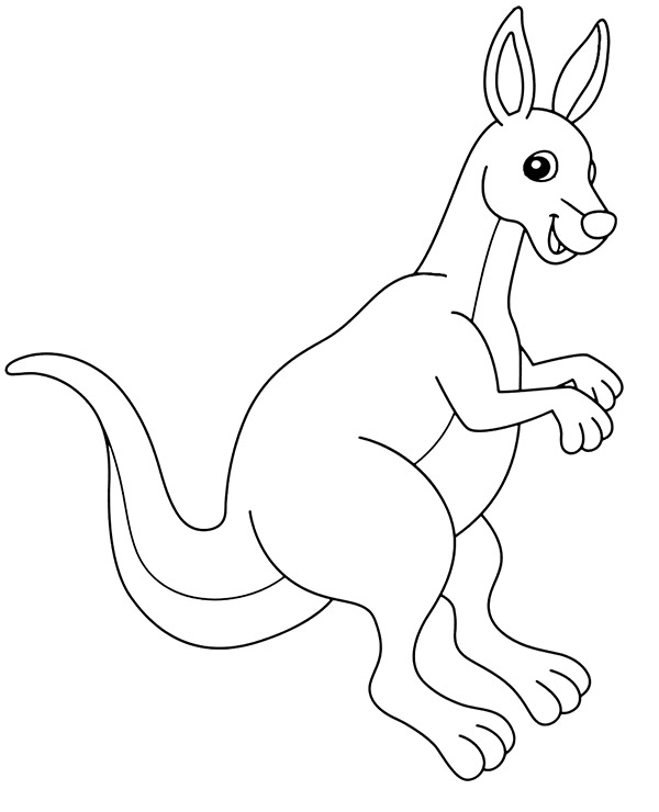 Kangaroo Pictures To Color Printable Infoupdate