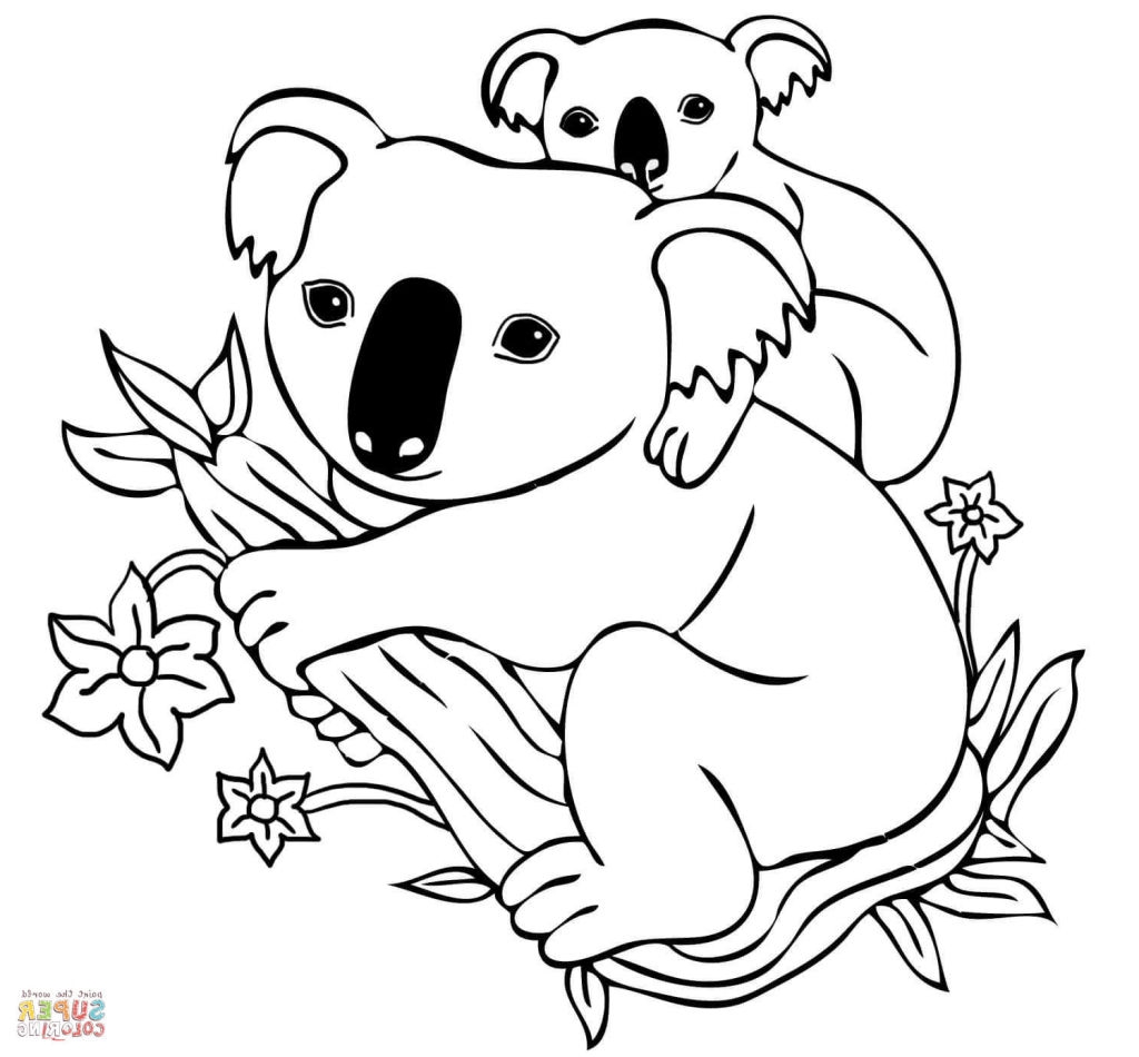 Koala Bear Coloring Page At GetColorings Free Printable Colorings