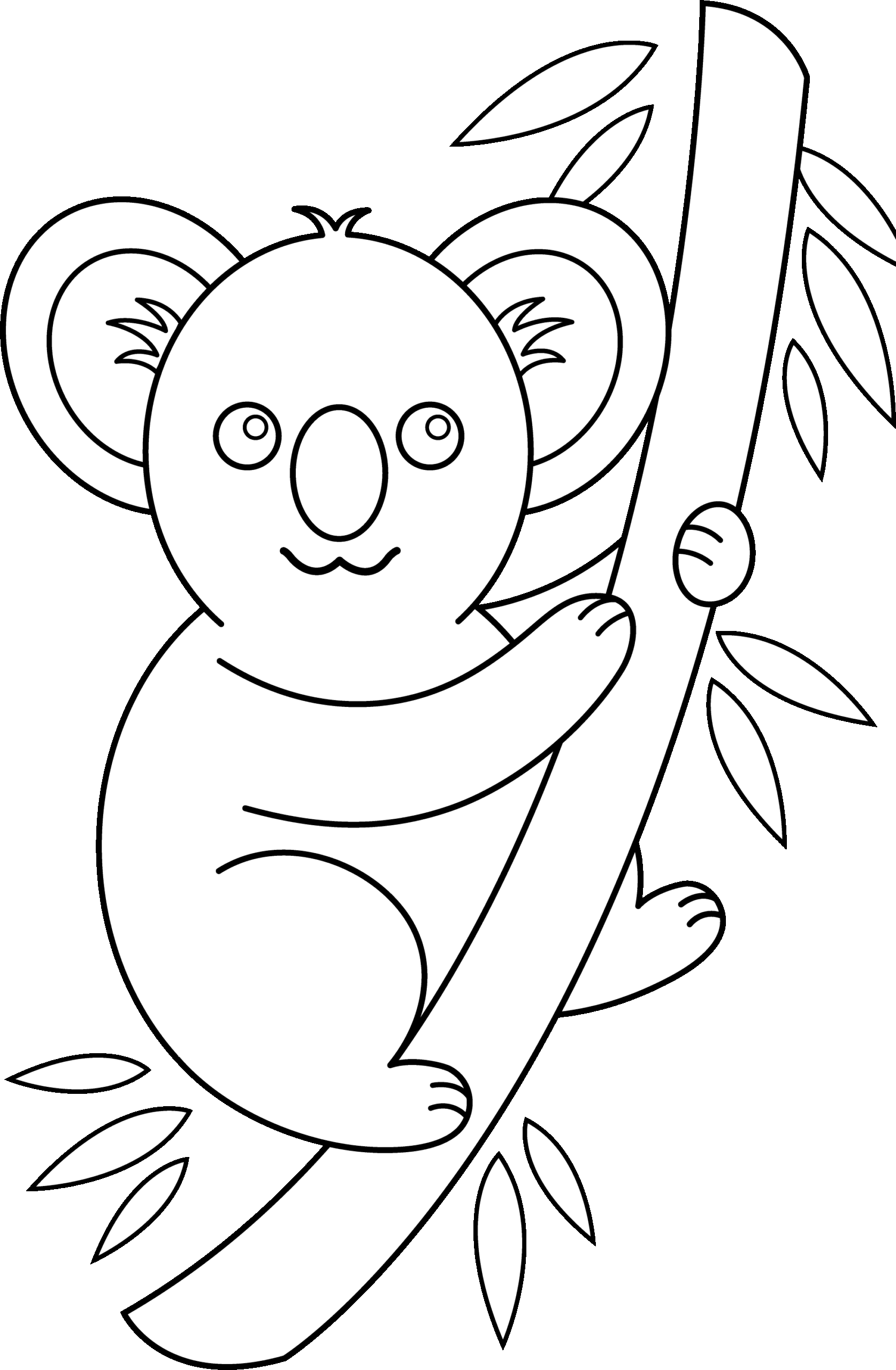 Koala Bear Color Page