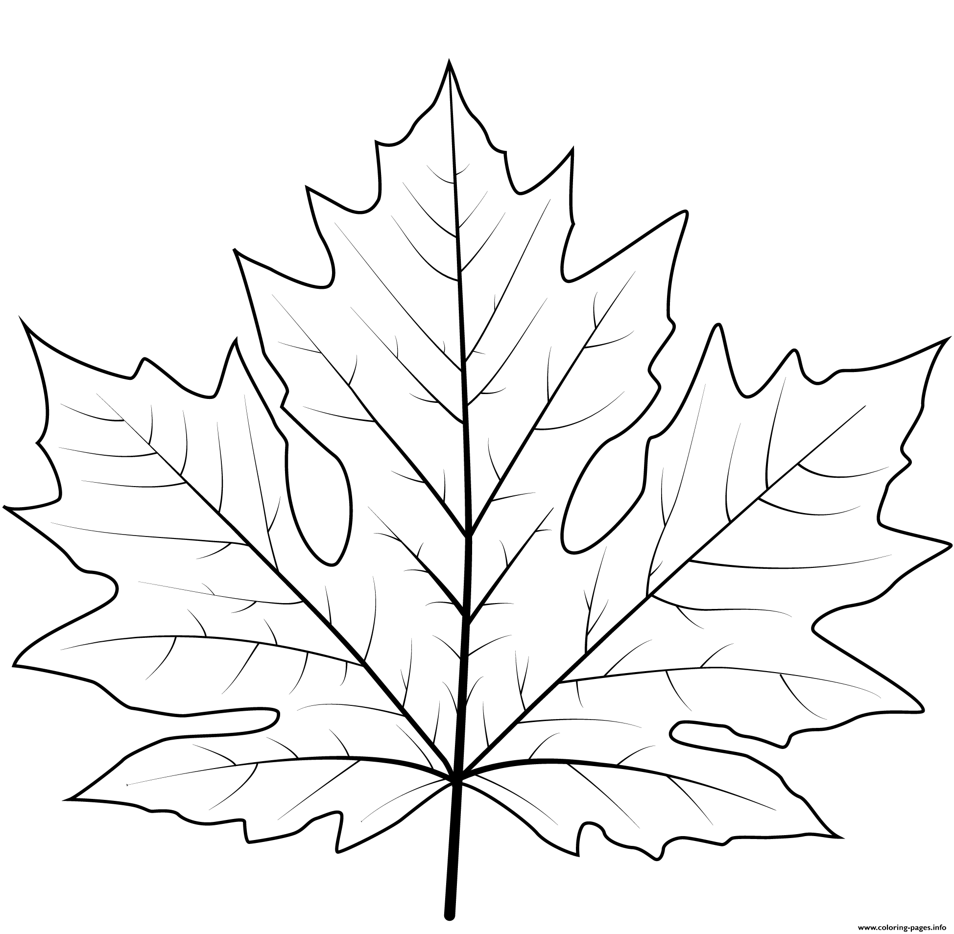 printable leaf pictures to color
