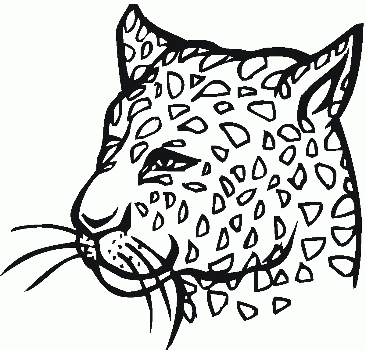 Leopard Coloring Pages Coloring Home