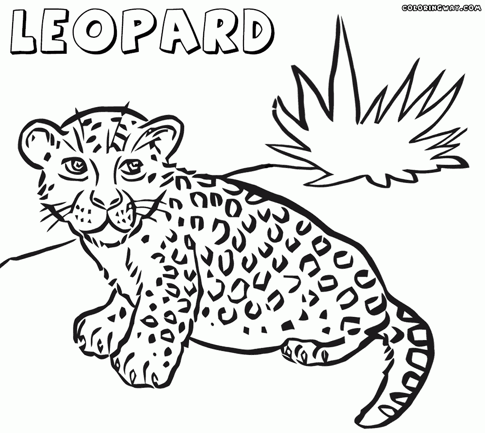 Leopard Coloring Pages Coloring Home