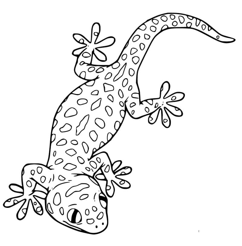 Leopard Gecko Coloring Page Free Printable Coloring Pages For Kids