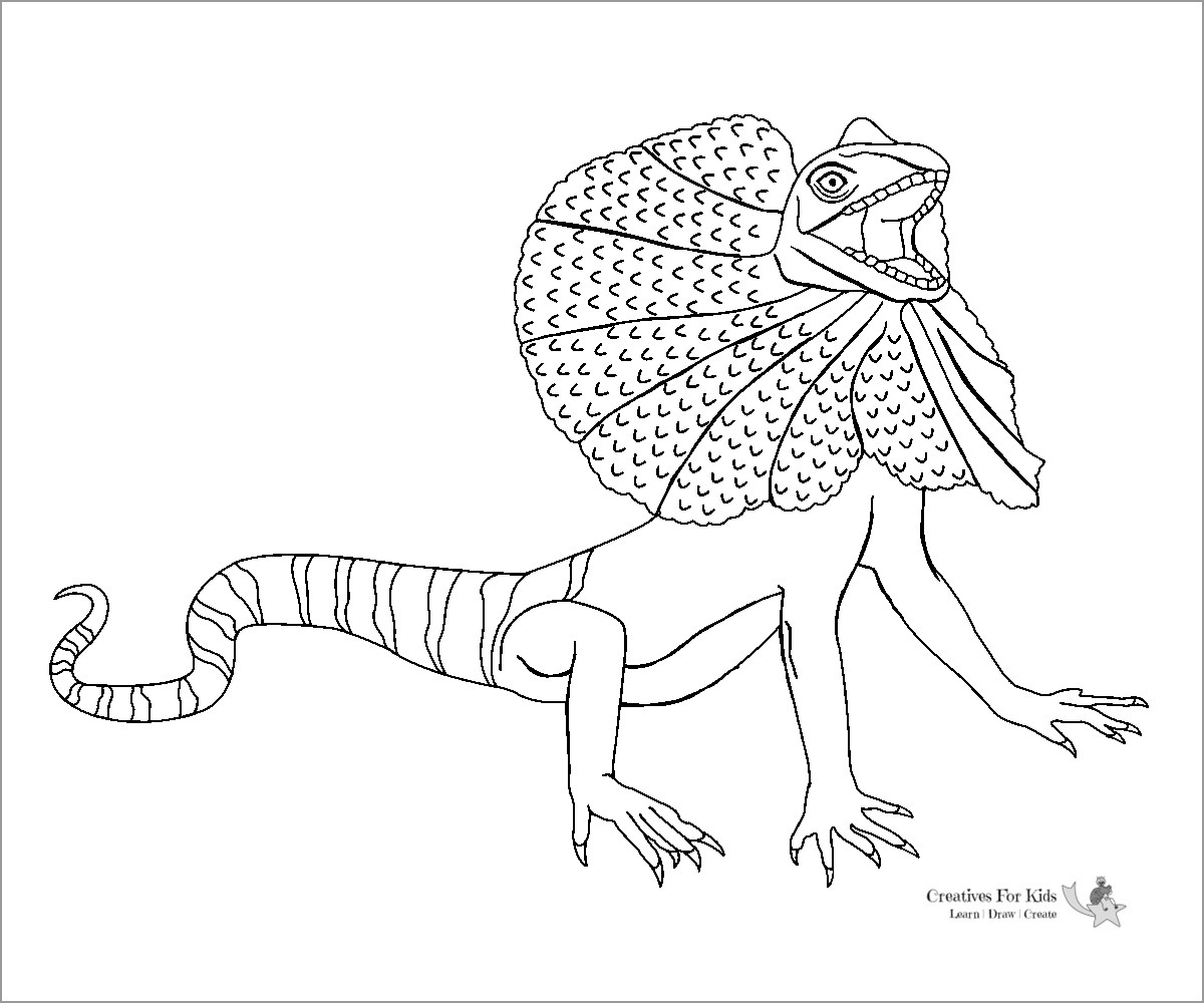 printable pictures of lizards to color