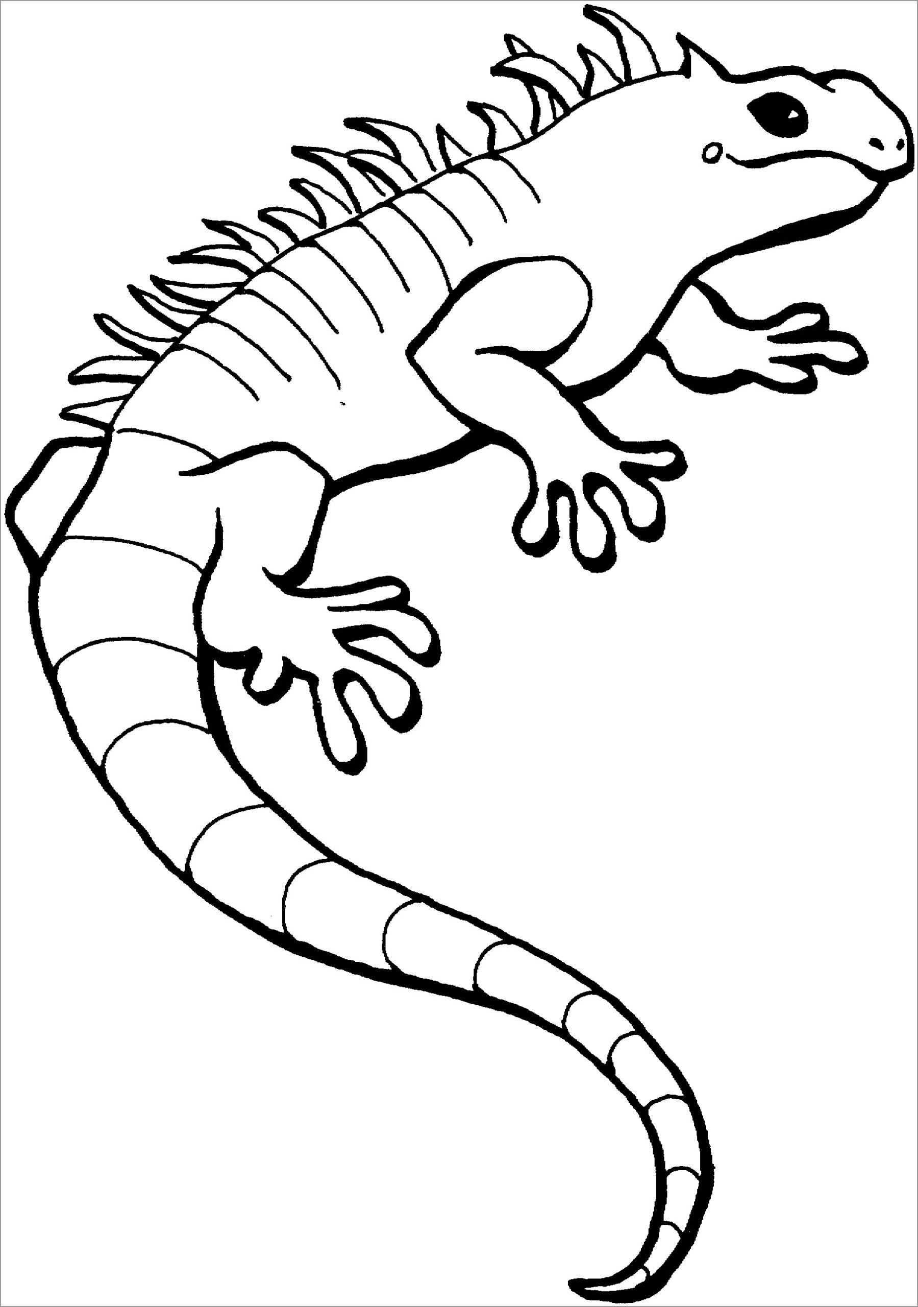 Lizards Coloring Pages ColoringBay
