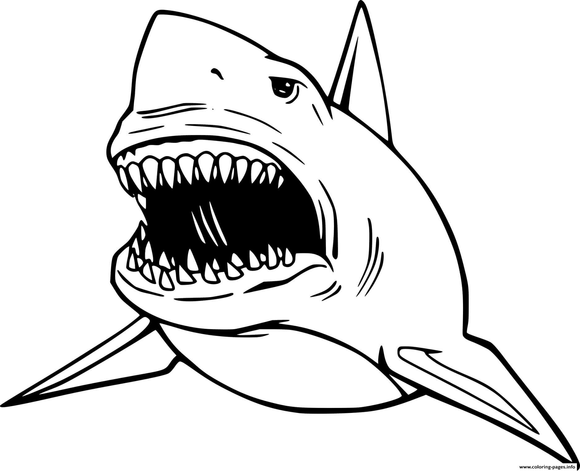Megalodon Coloring Pages
