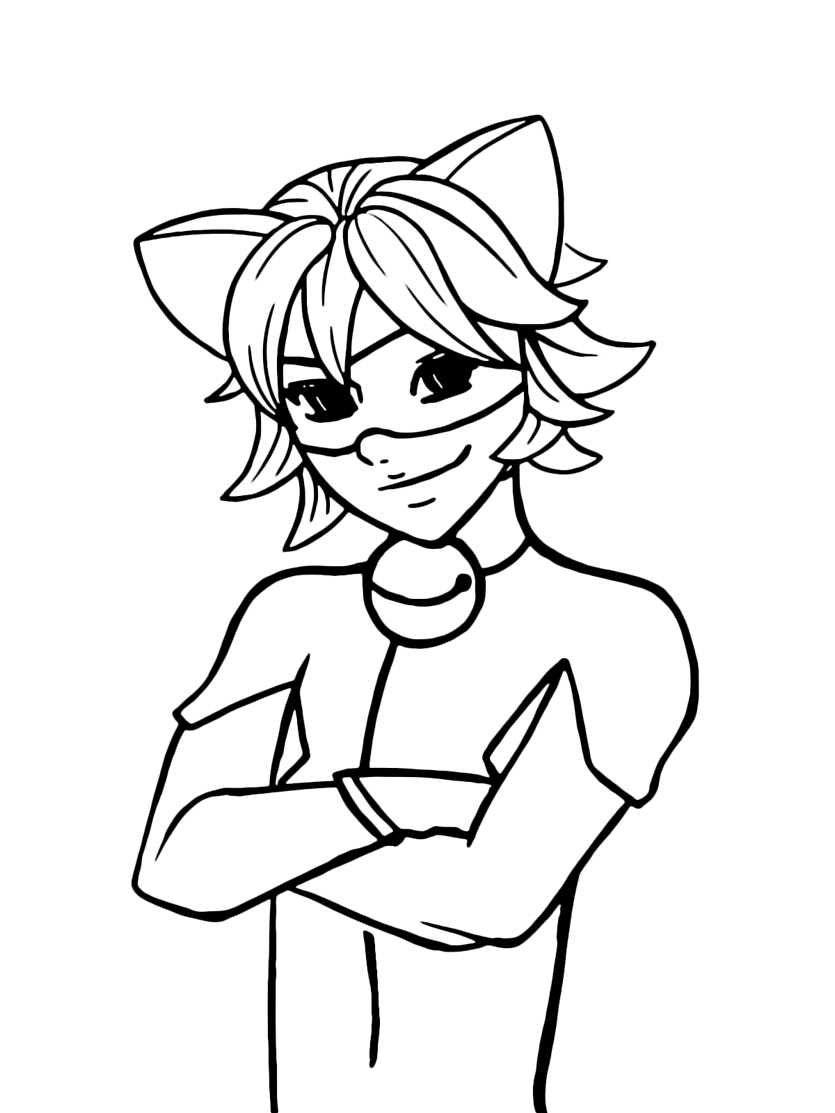Miraculous Tales Of Ladybug Cat Noir The Fascinating Cat Noir