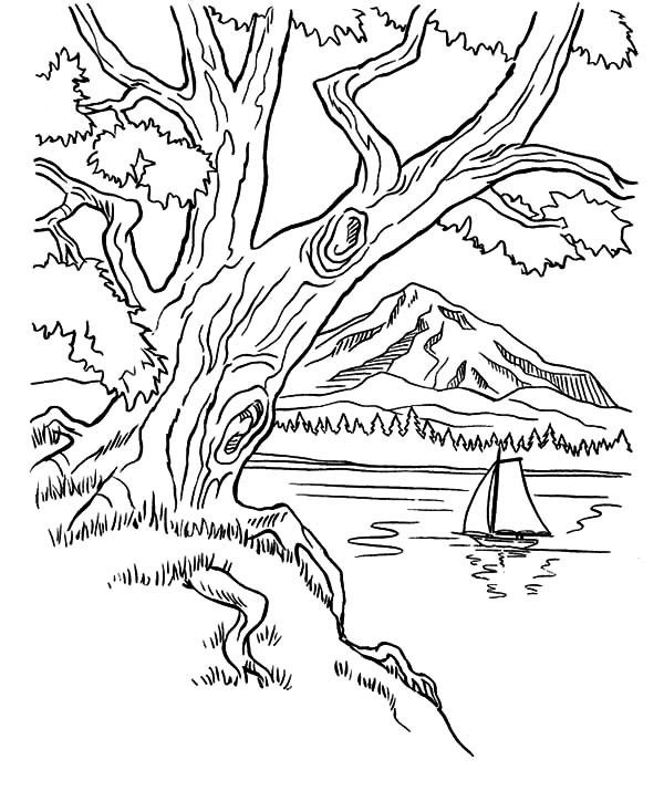 Mountains Coloring Page