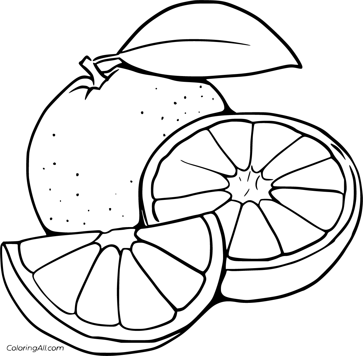 Orange Coloring Pages 13 Free Printables ColoringAll