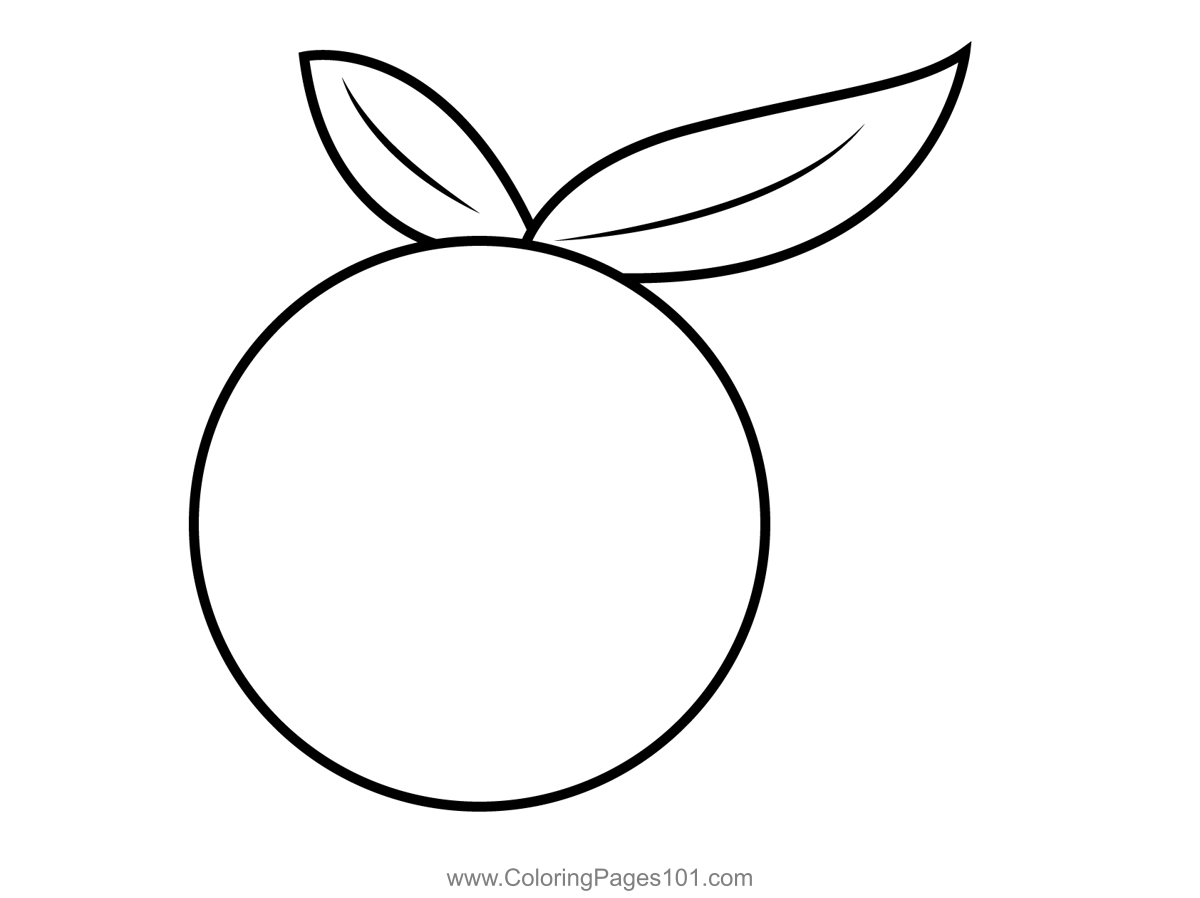 Orange Fruit Coloring Page For Kids Free Orange Printable Coloring 