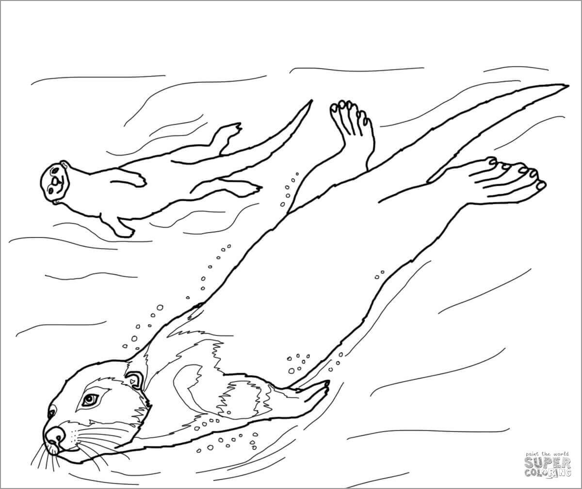 Otter Coloring Pages ColoringBay