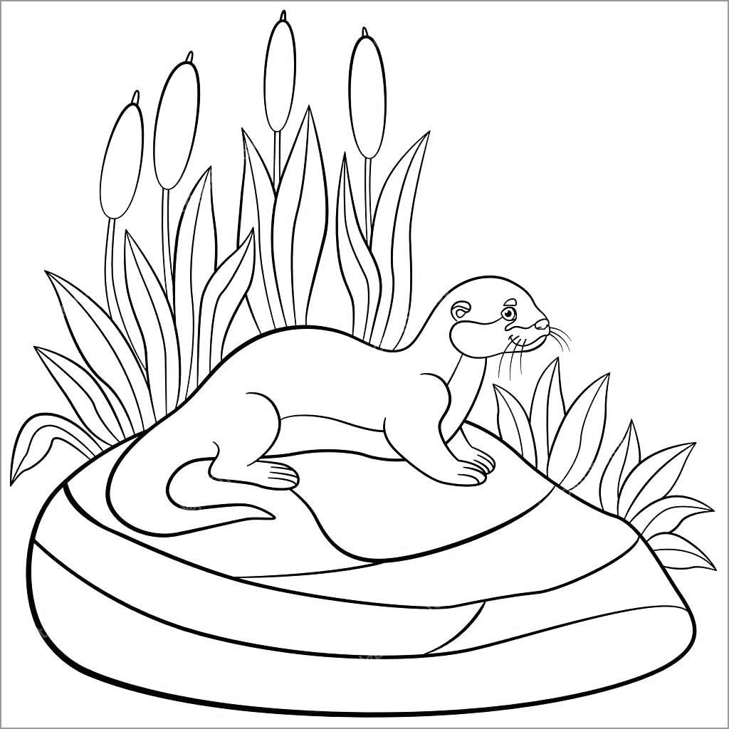 Otter Coloring Pages ColoringBay
