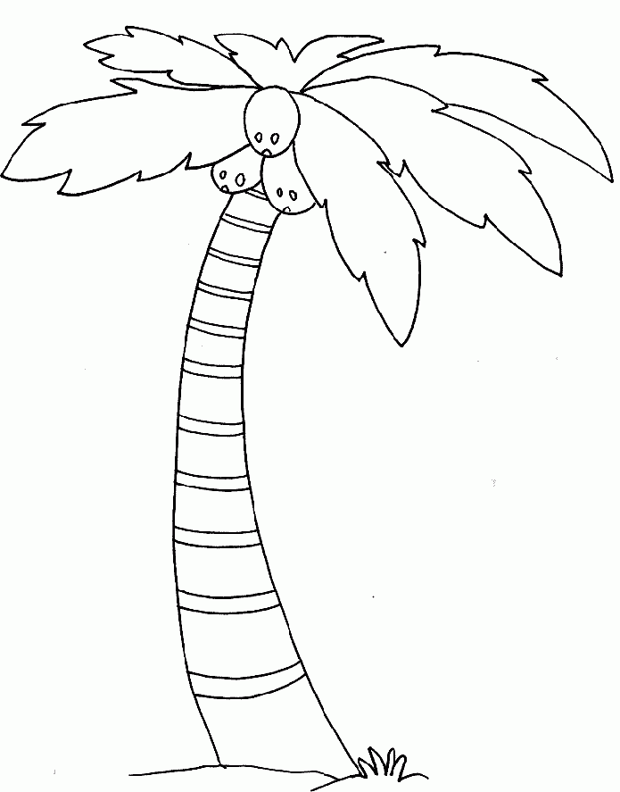 Palm Tree Coloring Pages