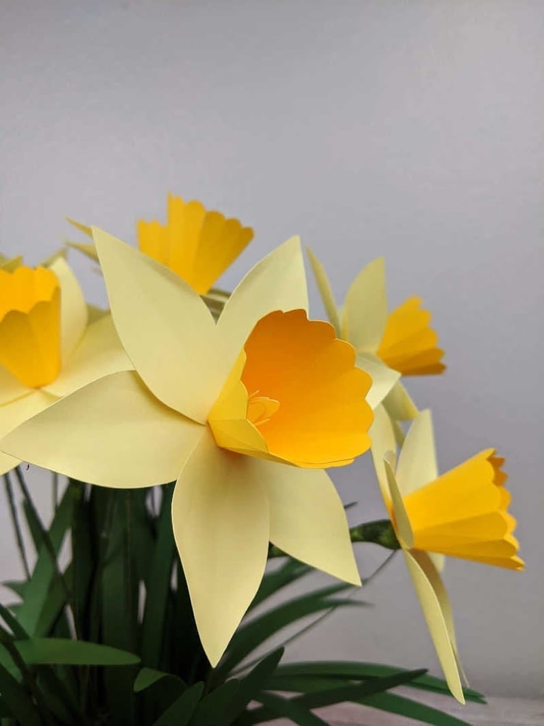 Paper Daffodil Template Paper Flower Template Flower Svg Etsy Australia