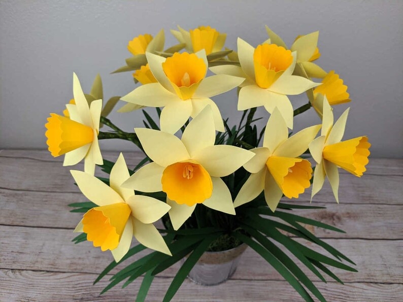 Paper Daffodil Template Paper Flower Template Flower Svg Etsy