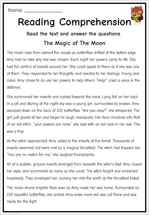 PDF Sub Sandwich Sixth Grade Reading Comprehension Worksheet 