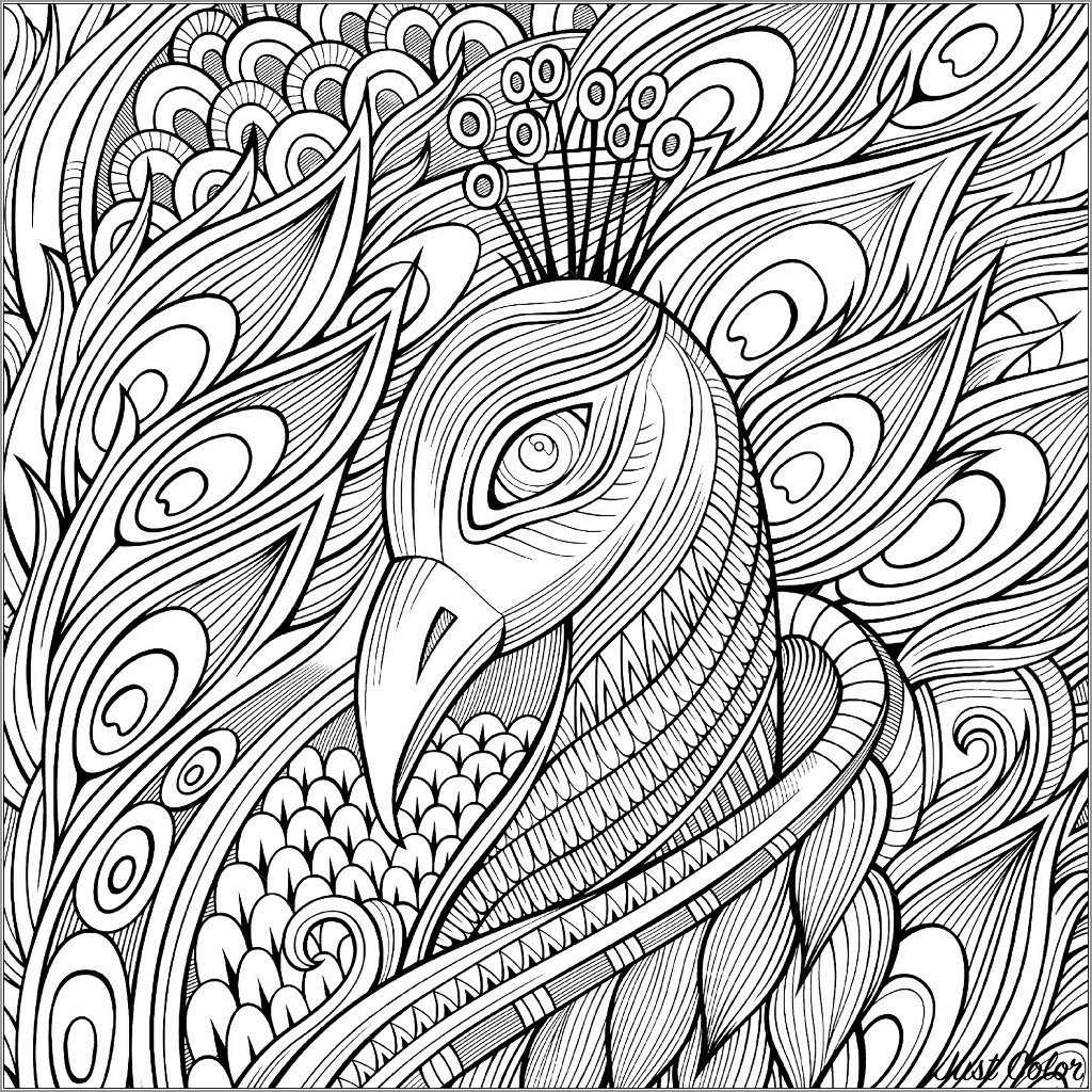 Peacock Coloring Book Pages