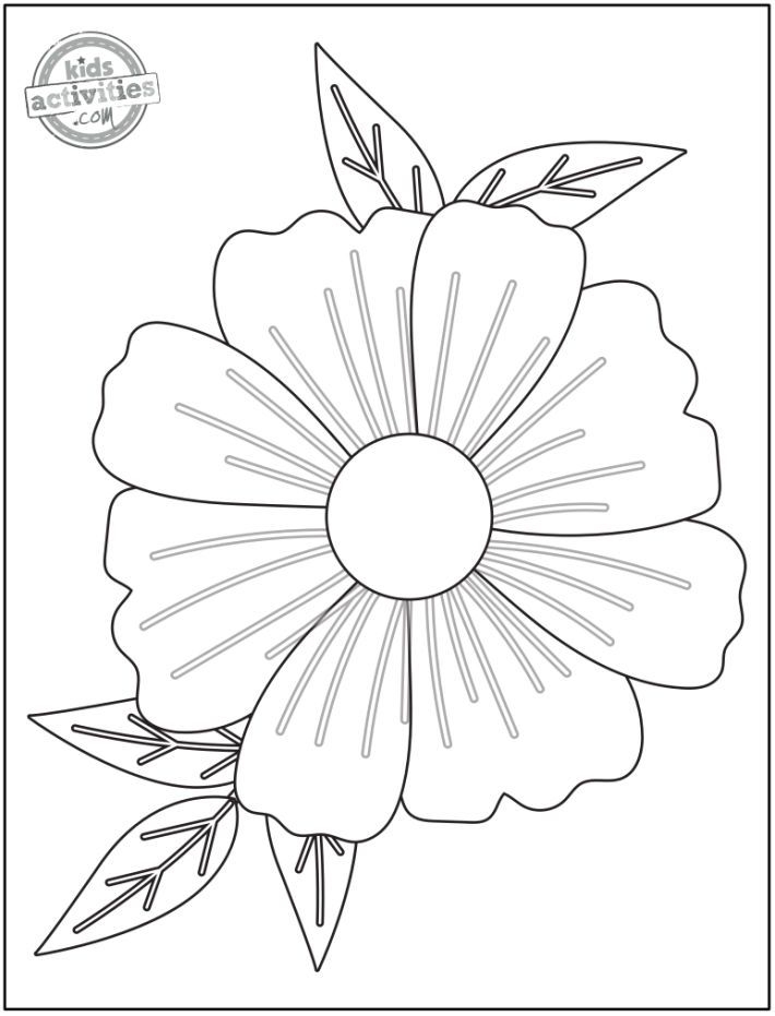 Pin On Color
