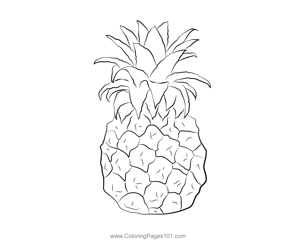 Pineapples Coloring Page For Kids Free Pineapple Printable Coloring 