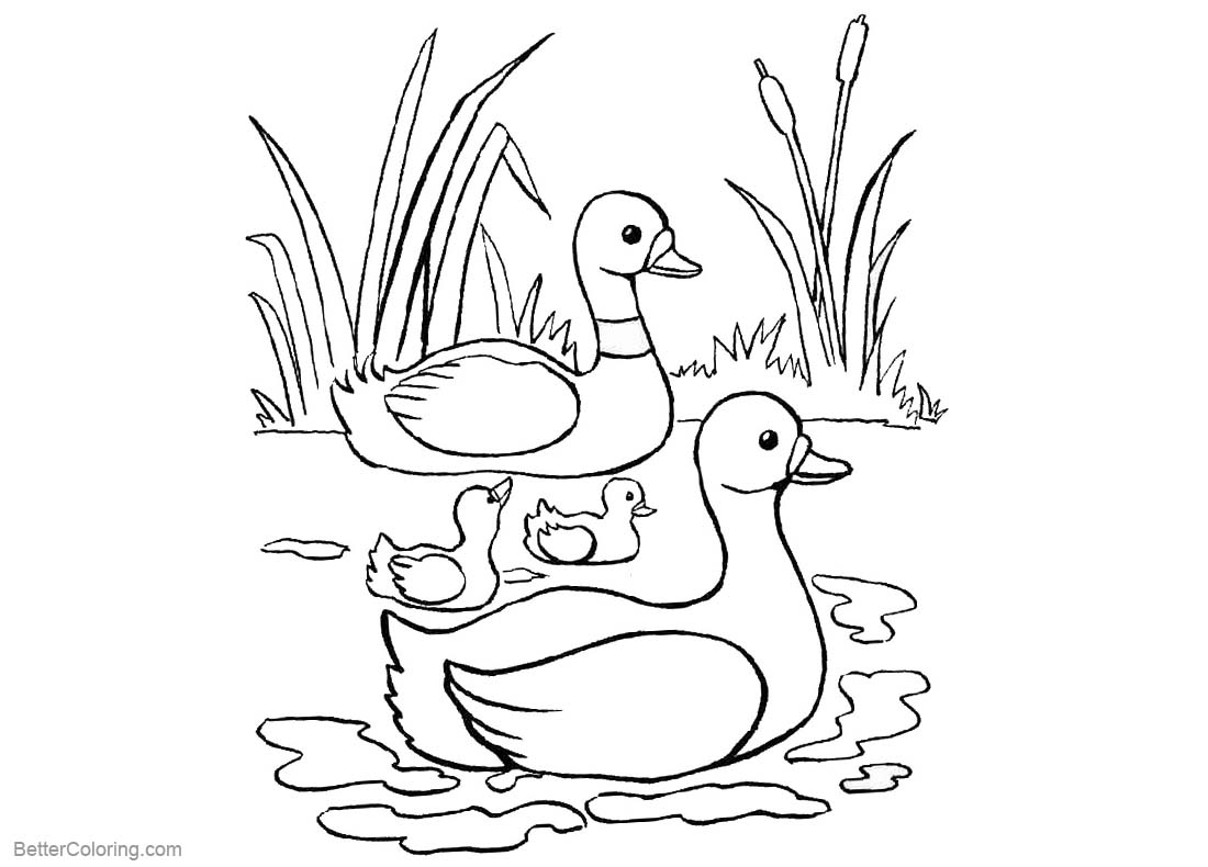 free coloring pages ducks