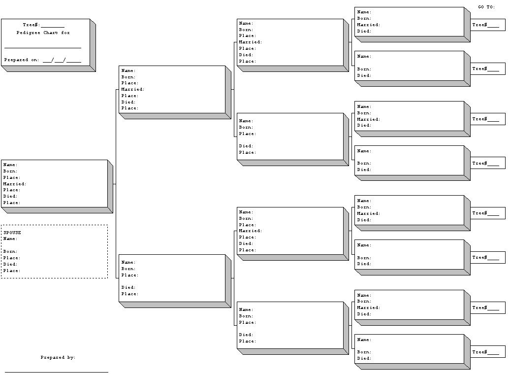 Printable Blank Family Tree Forms Printable Form 2024
