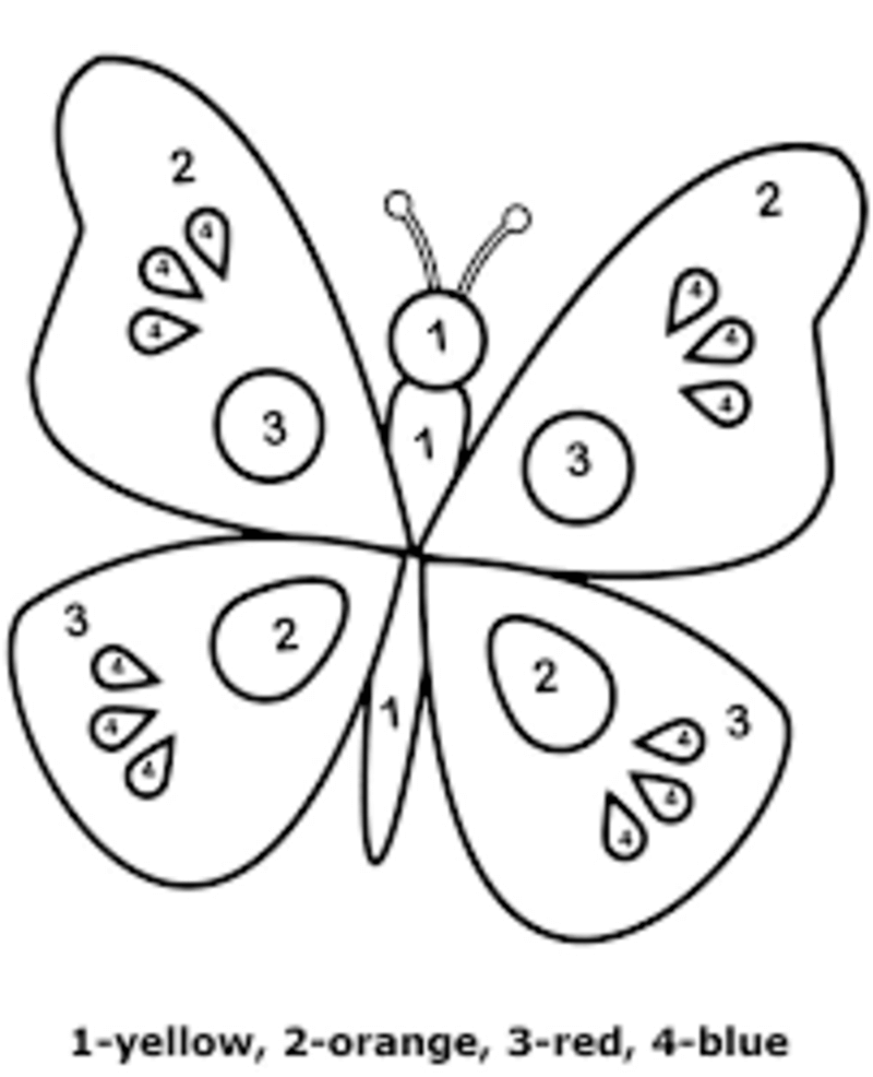 Printable Butterfly Color By Number Download Print Now
