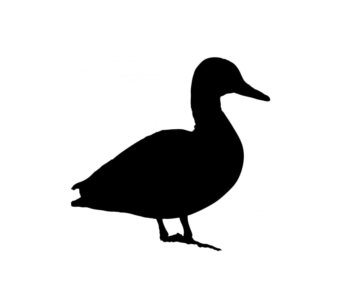free printable duck stencil