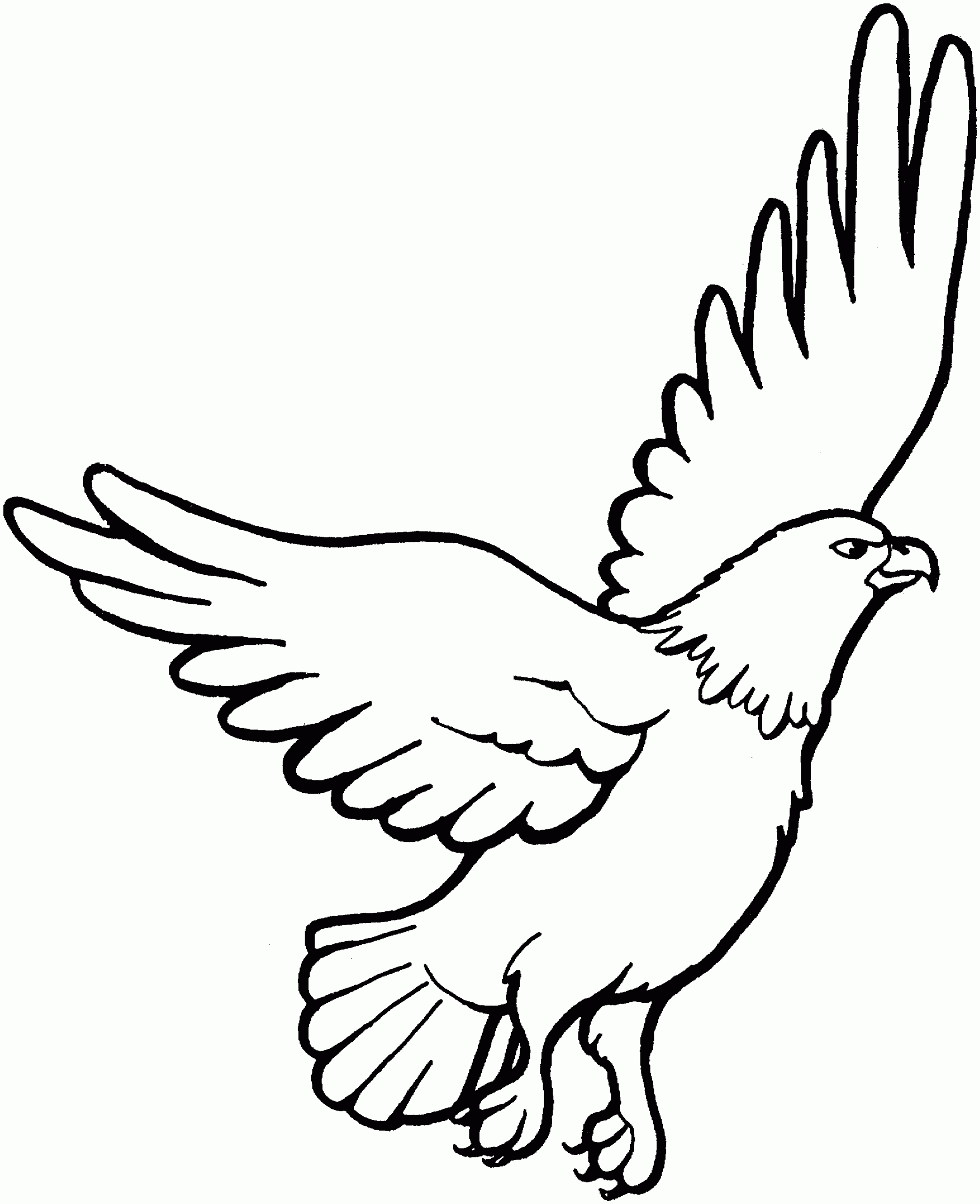 printable eagle pictures to color