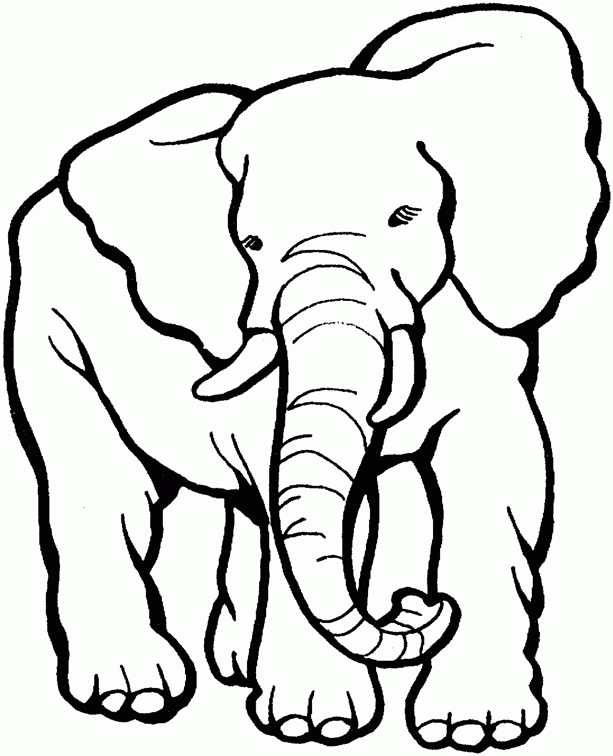 Printable Elephant Coloring Pages