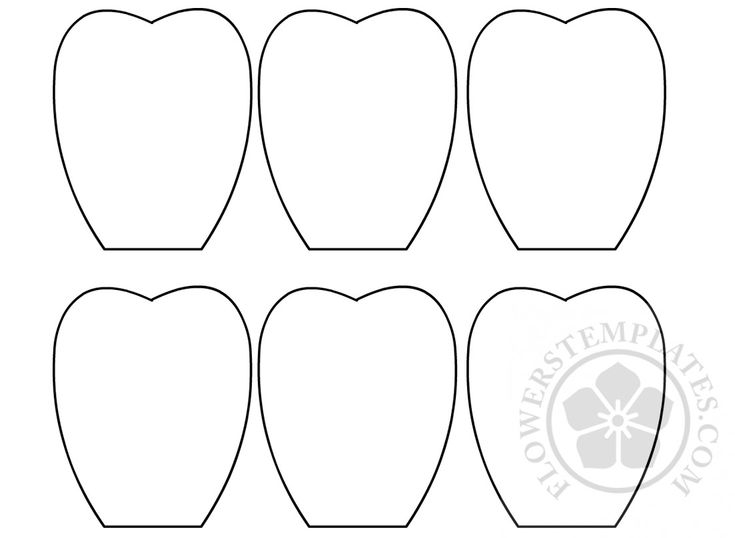 Printable Flower Petal Template Bouquets Templates Flower Petal 