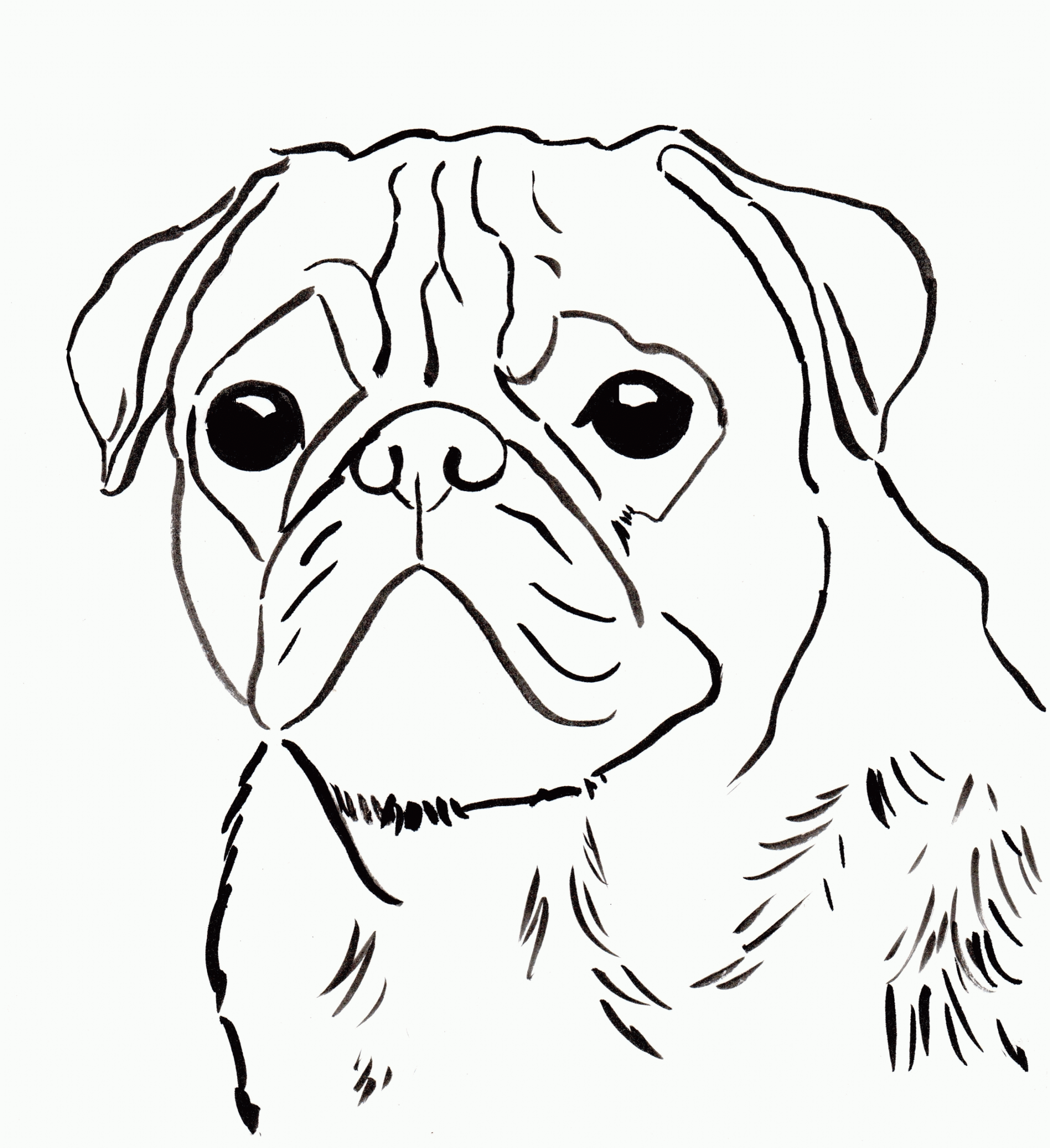 Pug Puppy Coloring Page Coloring Home