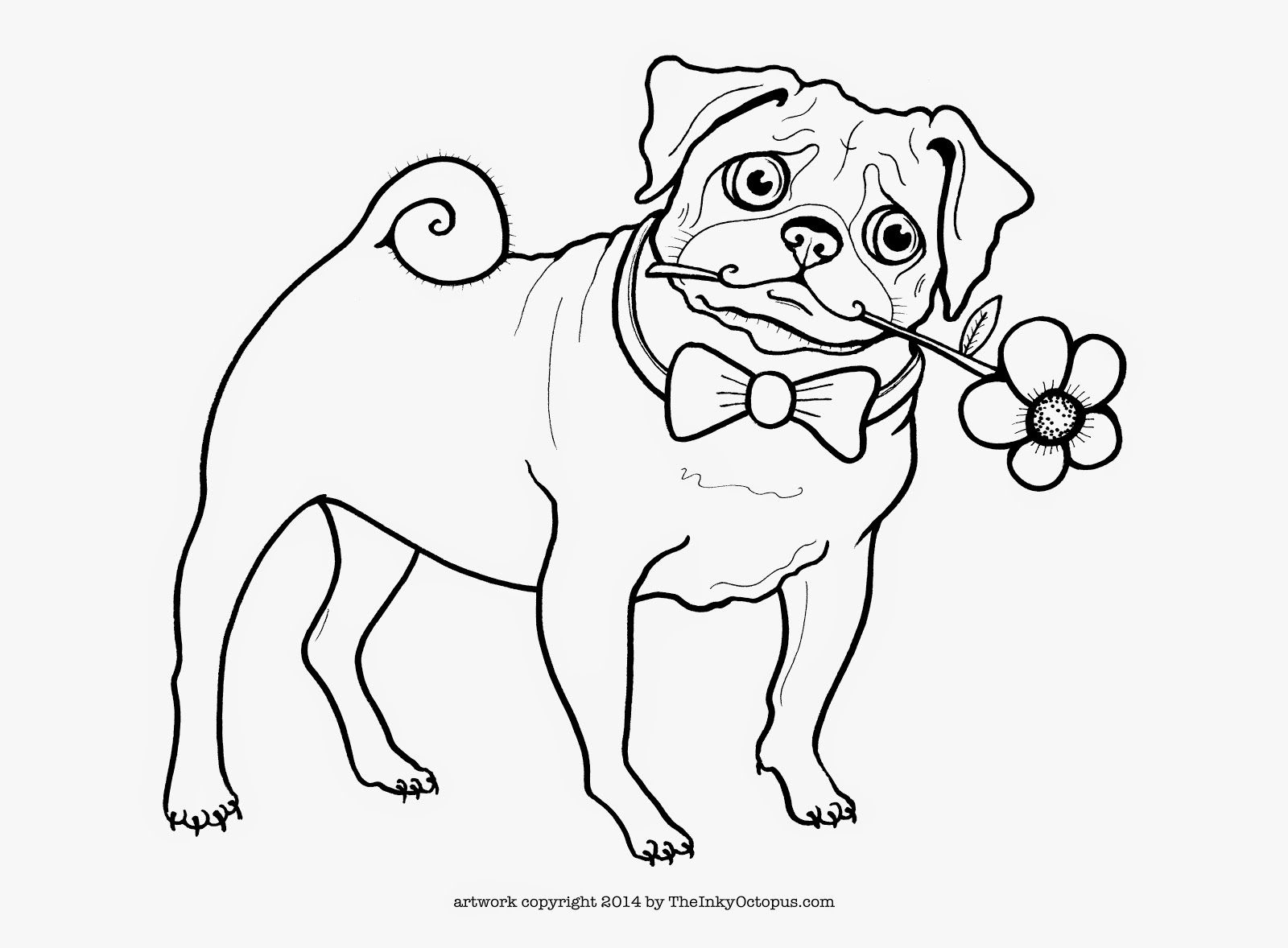 Pugs Coloring Pages Coloring Home