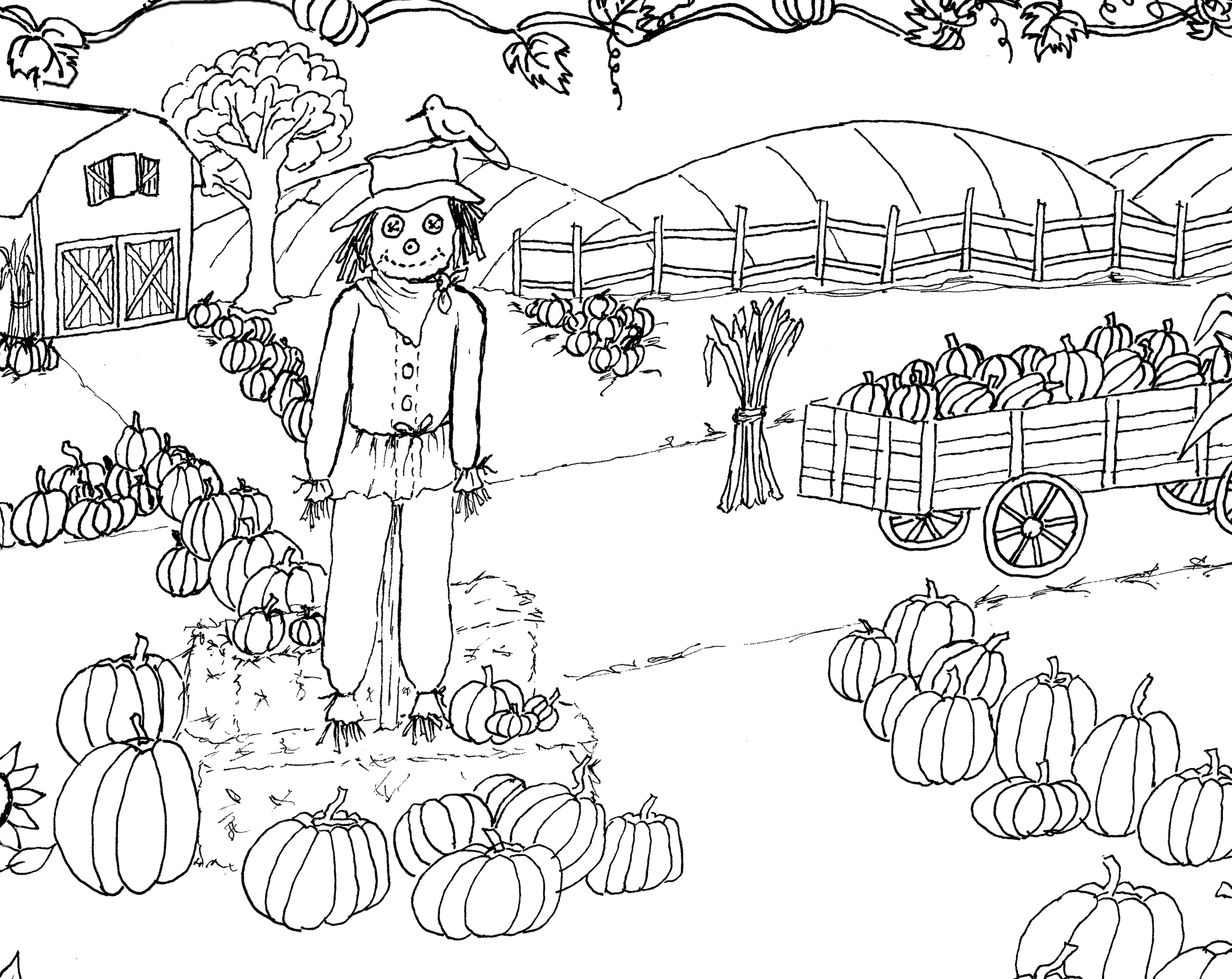 Pumpkin Patch Coloring Page Printable The Graphics Fairy