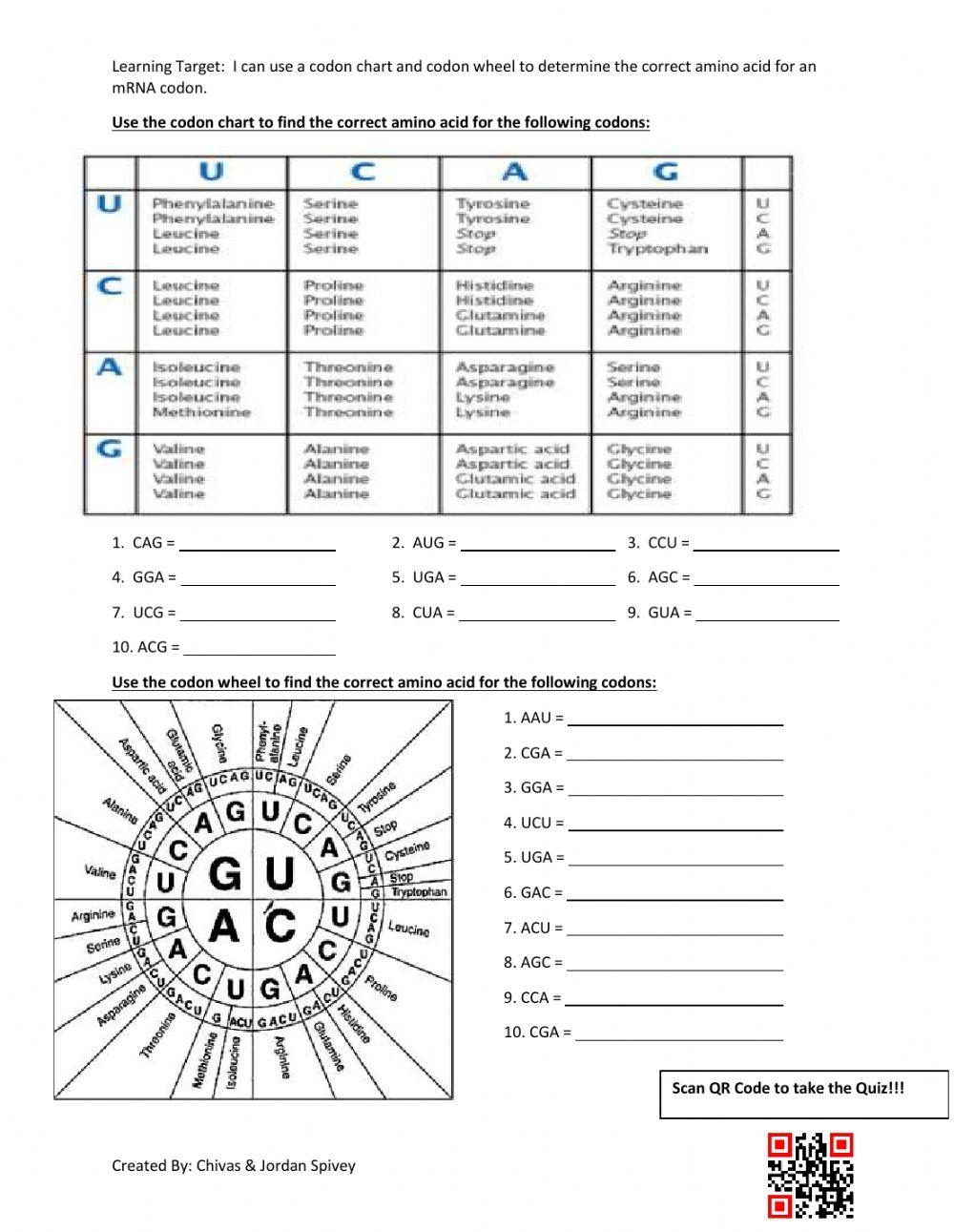 Quiz Worksheet DNA Amino Acid Coding Study Worksheets Library