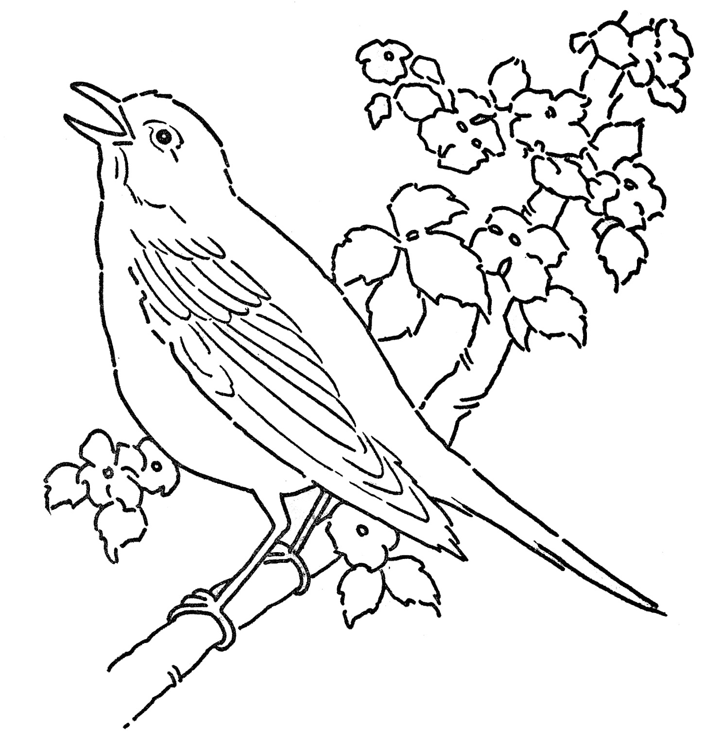 free birds coloring pages