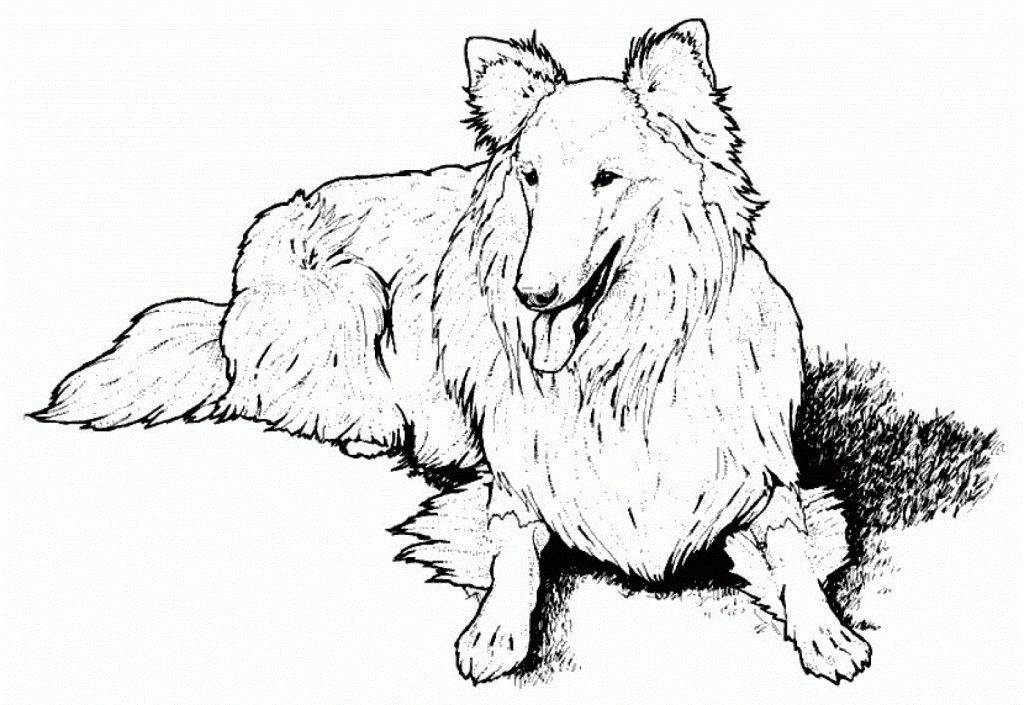 Realistic Dog Coloring Pages Coloring Home