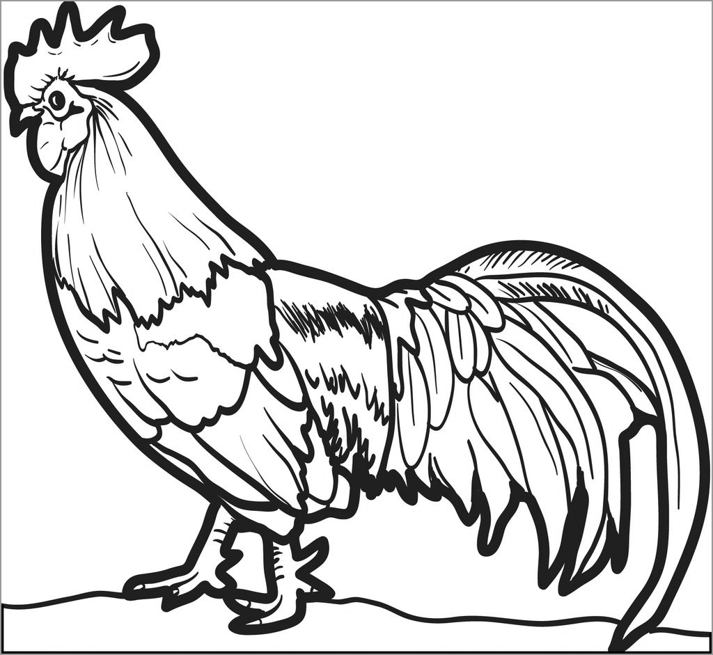 Realistic Rooster Coloring Page For Kids ColoringBay