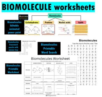 Reinforcement Exercise On Biological Macromolecules Worksheets Library