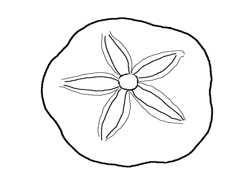 Sea Shells Coloring Pages Coloring Home