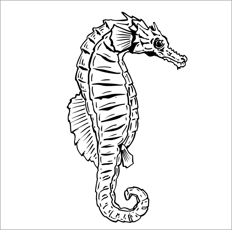 Seahorse Coloring Pages ColoringBay