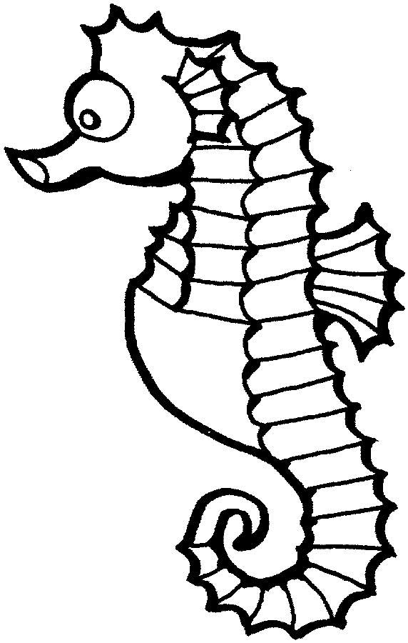 Seahorse Coloring Pages