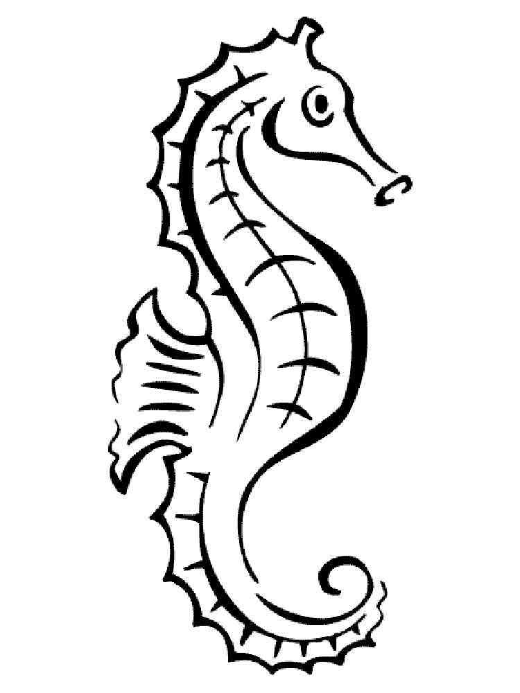 Seahorse Coloring Pages