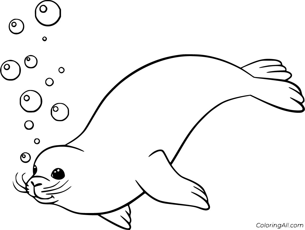 Seal Coloring Pages 34 Free Printables ColoringAll