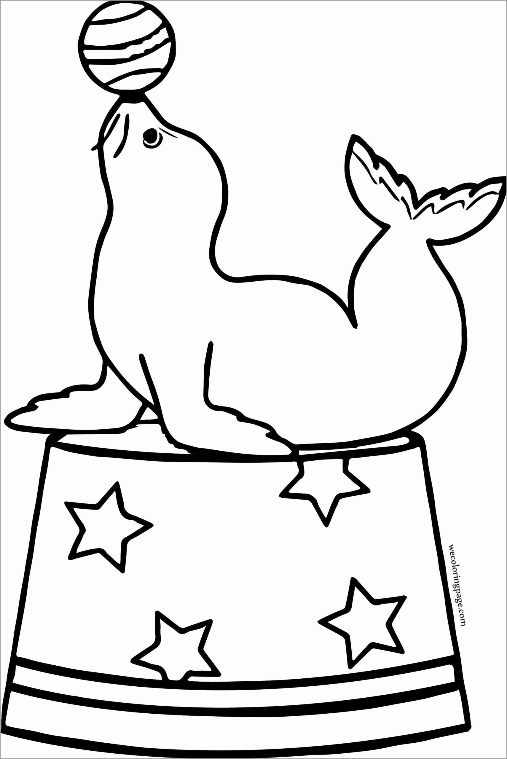 Seal Coloring Pages ColoringBay
