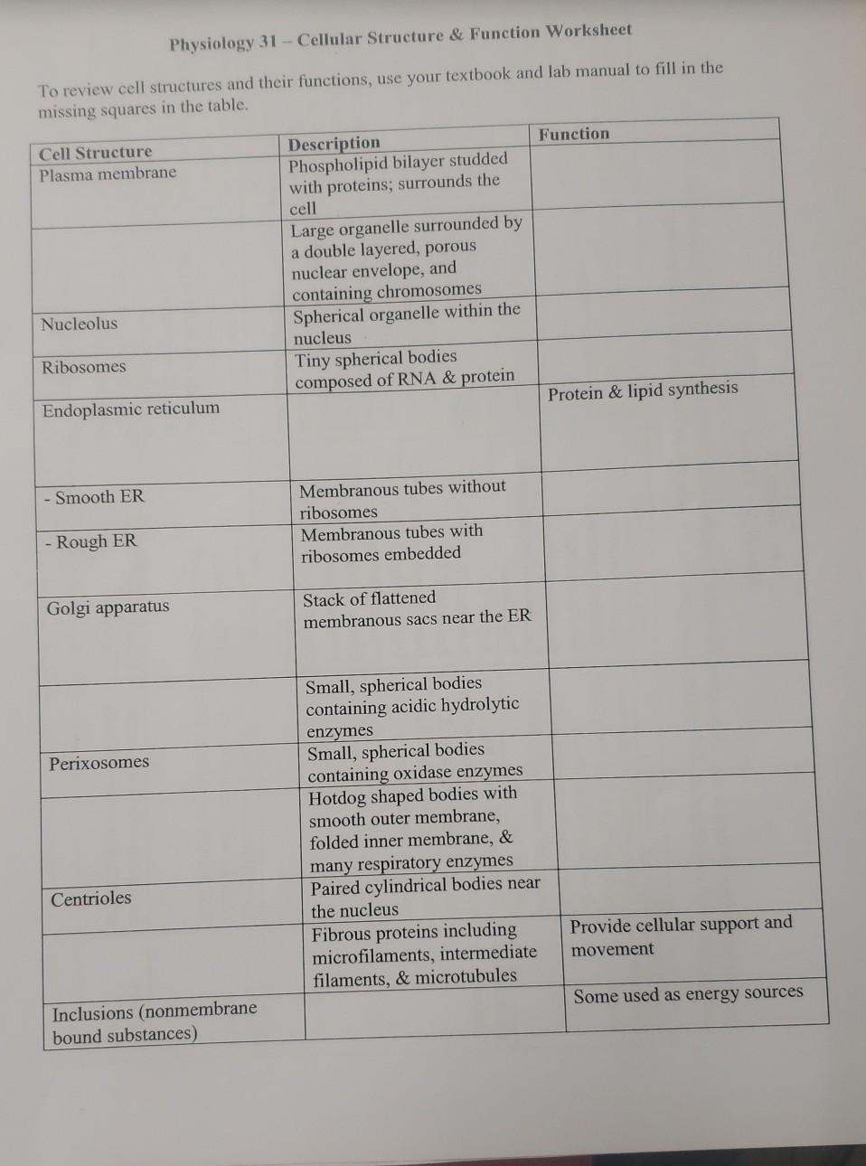 Solved Physiology 31 Cellular Structure Function Chegg