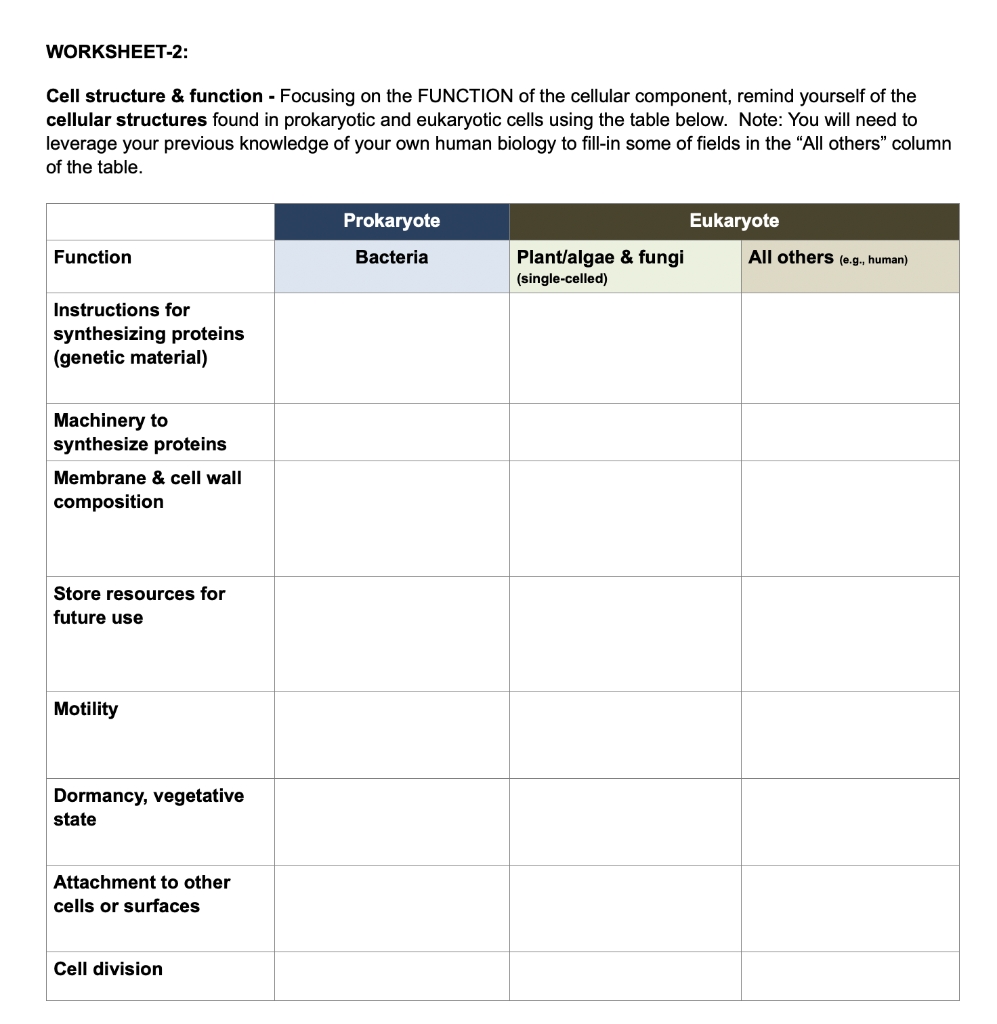 cellular structure and function worksheet