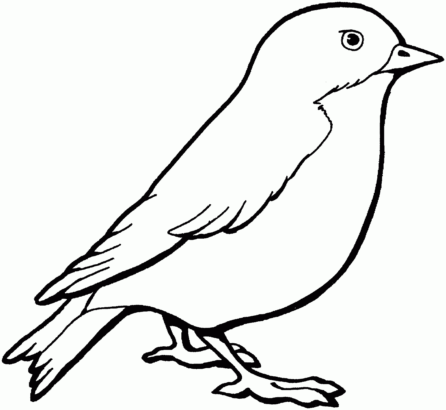 Sparrow colouring pages for toddlers