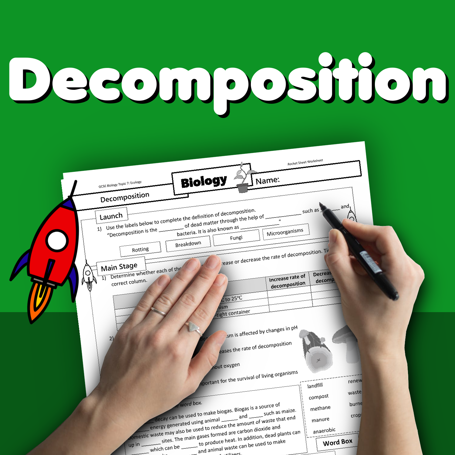 Stages Of Human Decomposition Worksheet The Stages Of Decomp